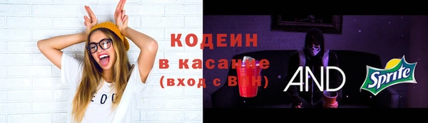 ГАЛЛЮЦИНОГЕННЫЕ ГРИБЫ Абаза